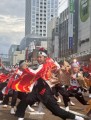 明新森組chezawatotoイッチョライ